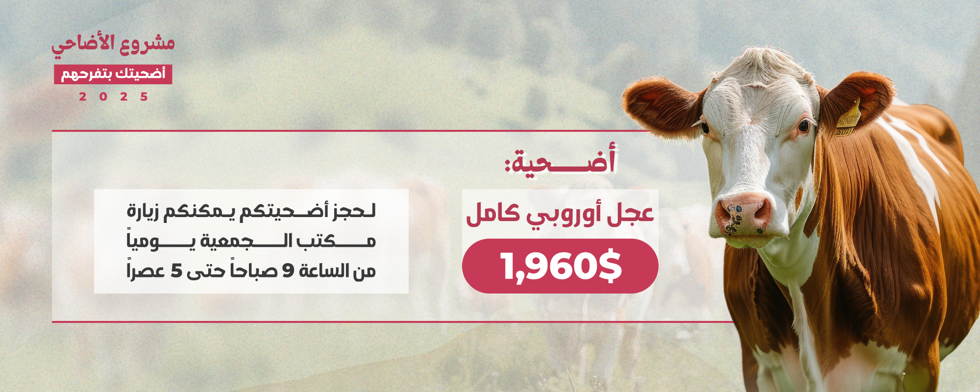 صورة 4