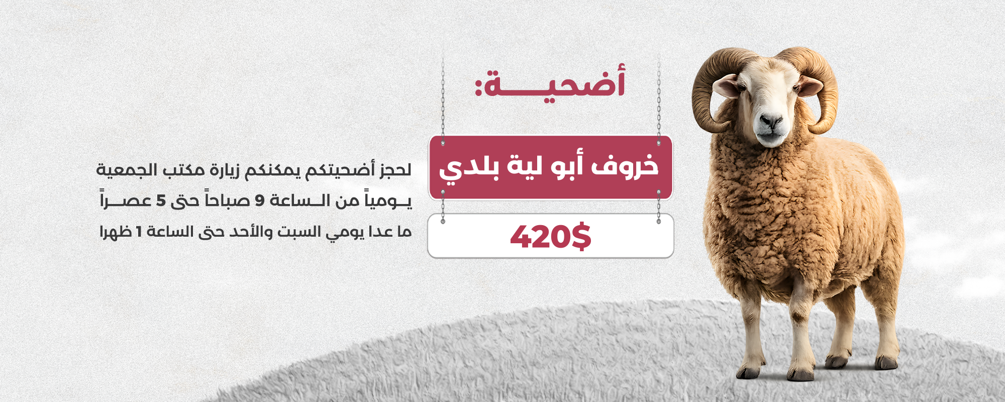 صورة 2