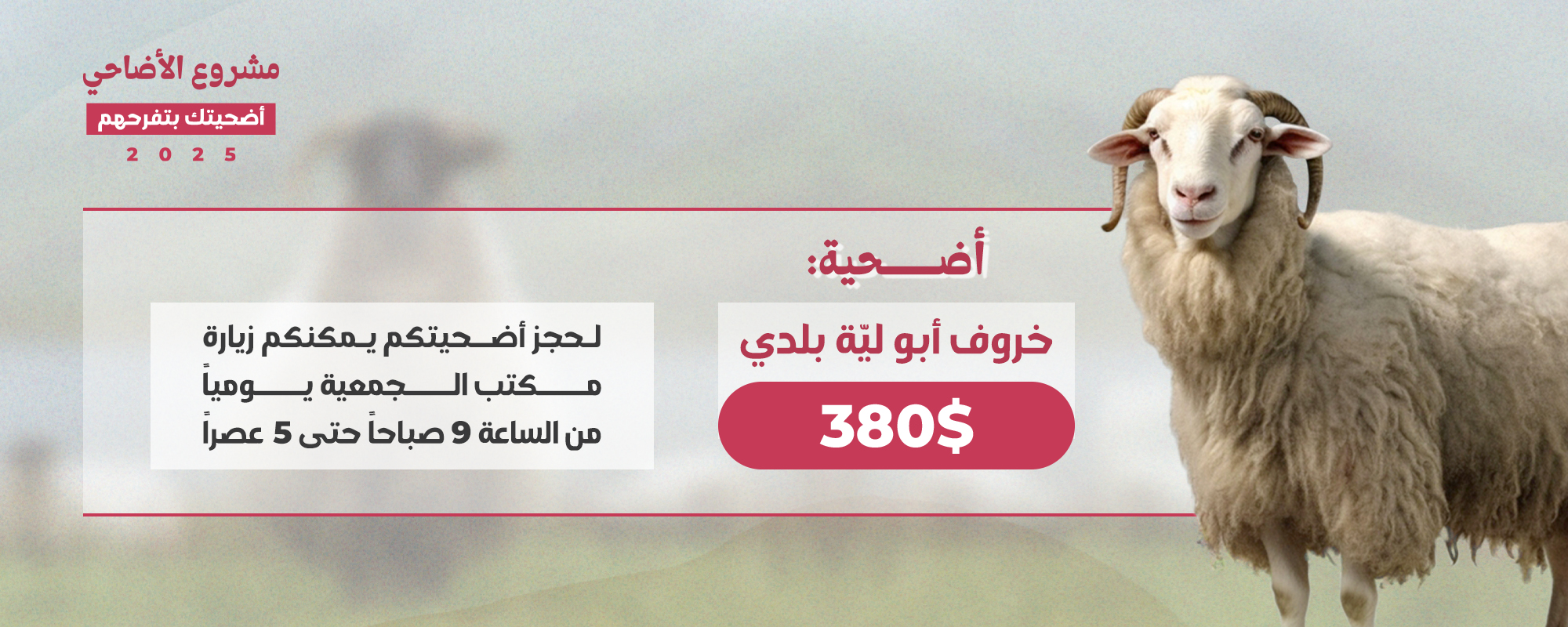 صورة 2