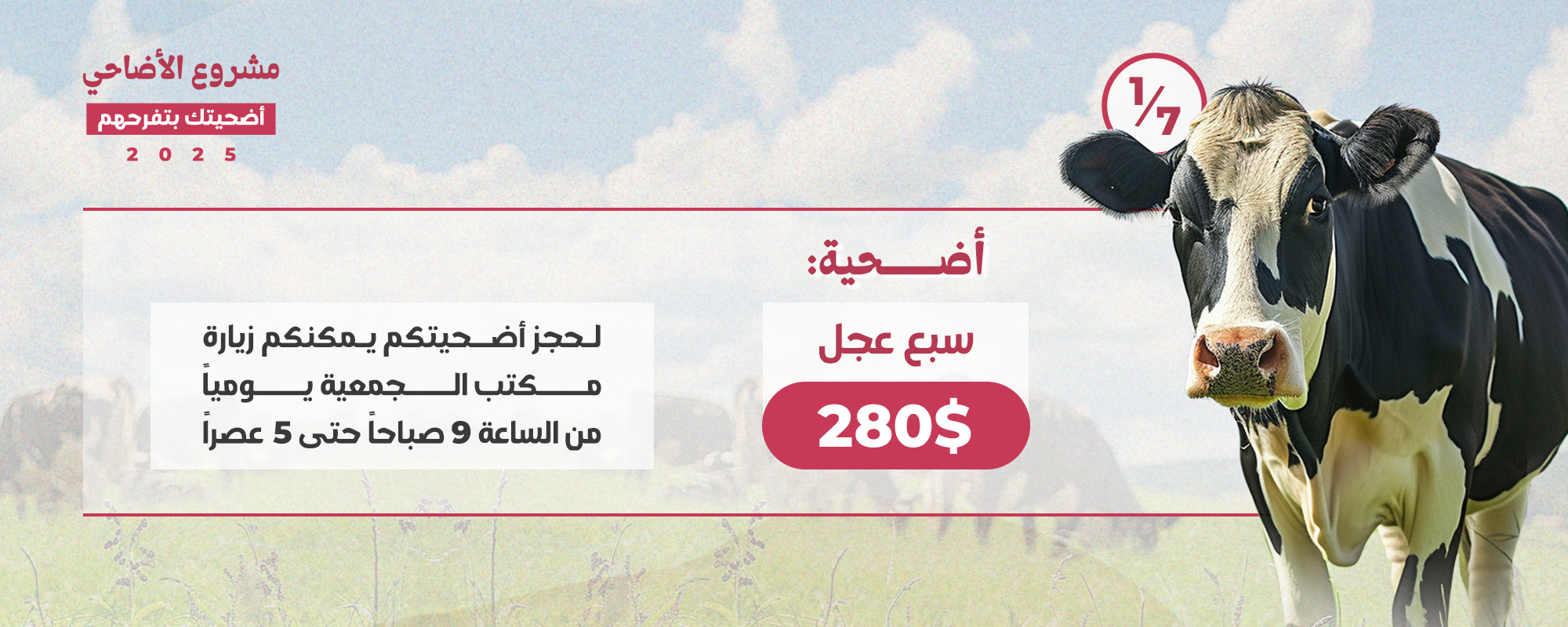 صورة 3