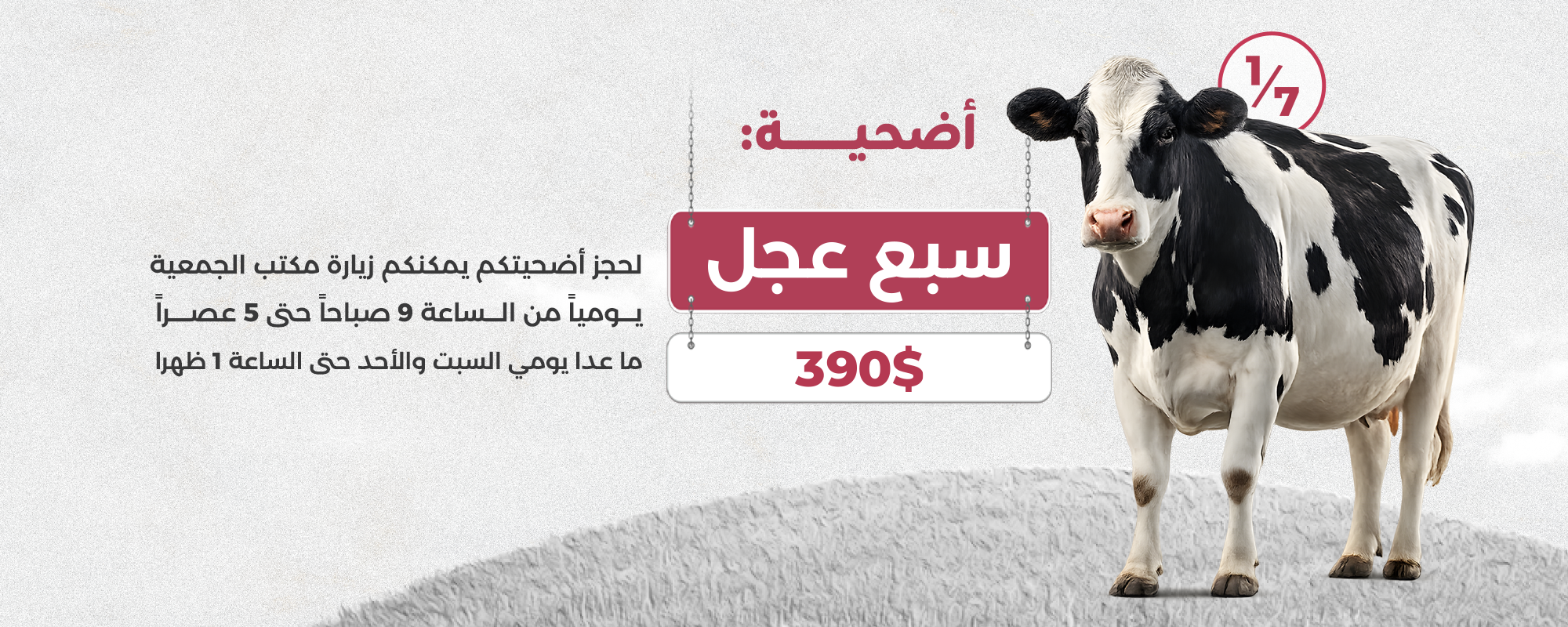 صورة 3