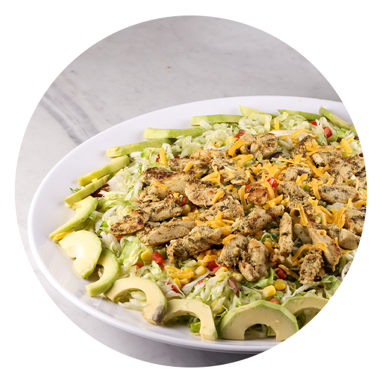 Chicken Salad with Avocado   - سلطة الدجاج مع الافوكا  :  USD 40 - 70  /  5 - 10 prs